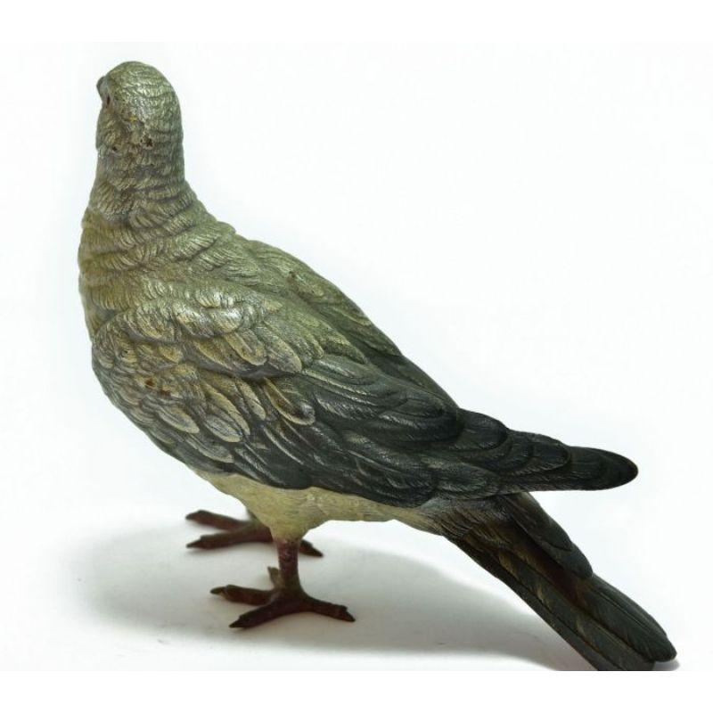 Real size rock pigeon in Vienna bronze.

Additional information:
Material: Bronze.