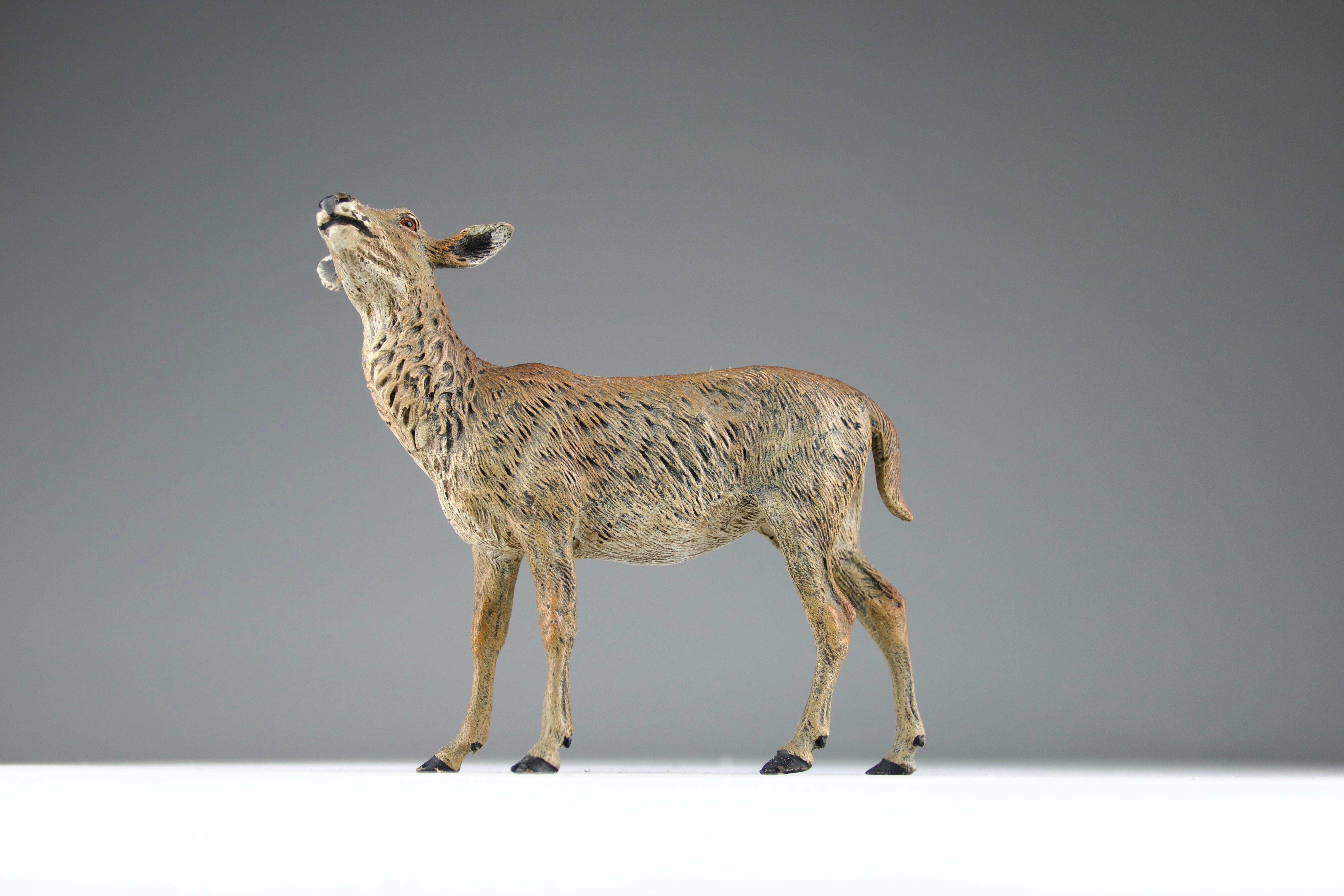 Vienna Bronzes, Deer and Doe Sculptures, 19th Century For Sale 6