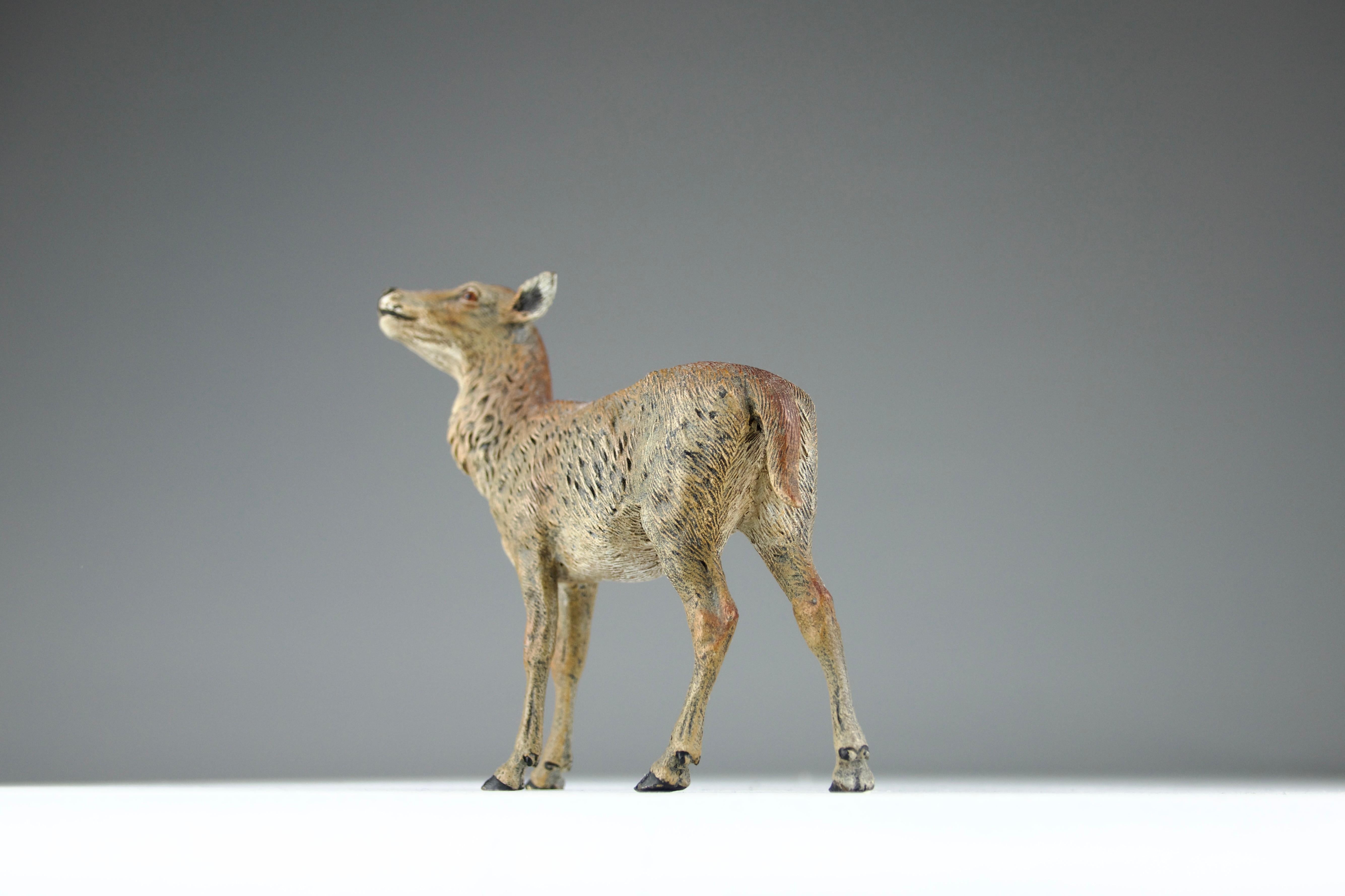 Vienna Bronzes, Deer and Doe Sculptures, 19th Century For Sale 8