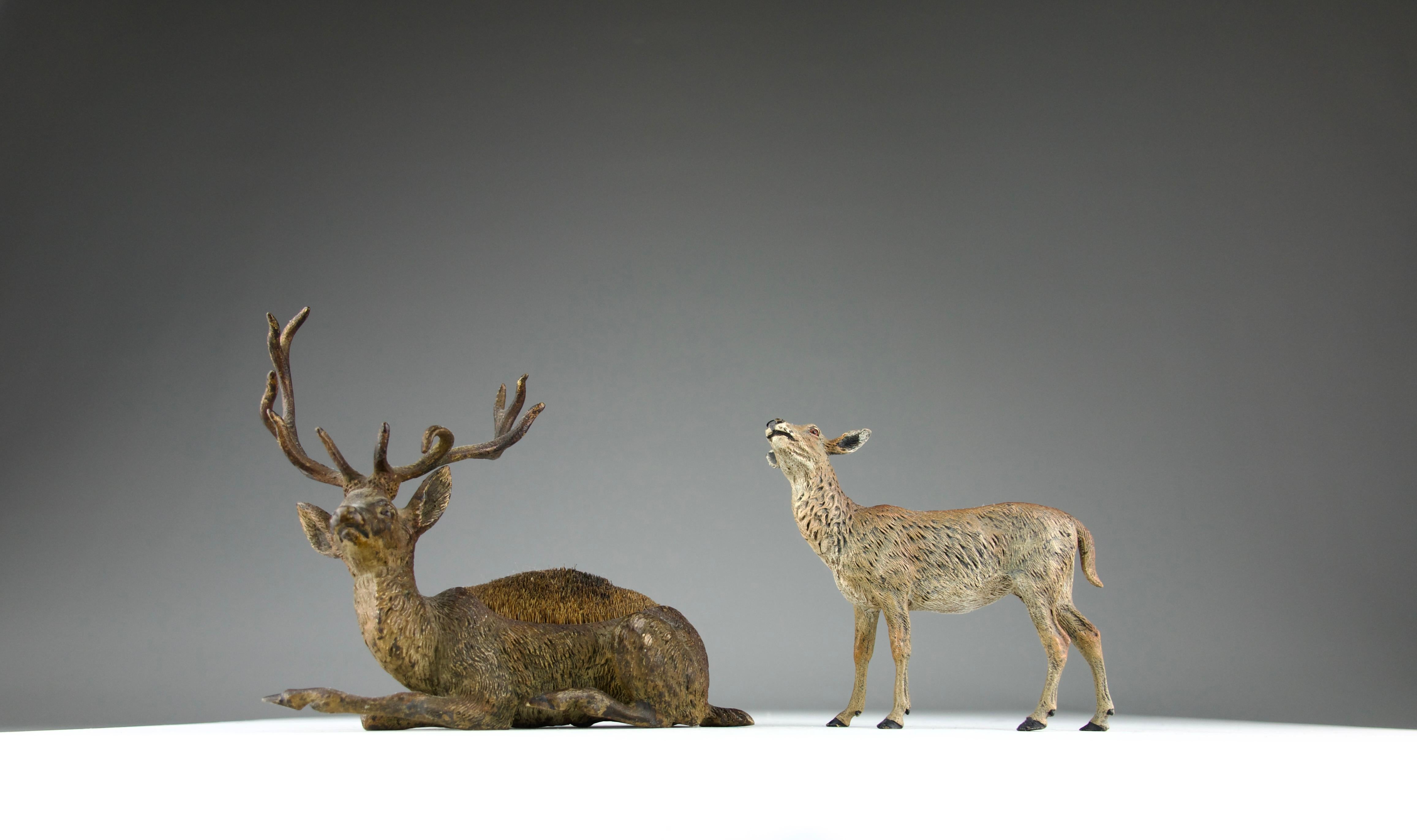 Superb 19th century Vienna bronze sculptures of a stag, the doe is a late 20th century/early 21st production of Vienna bronzes. The deer sculpture is attributed to the Geschütz manufacture as similar models are referenced and signed. It was also