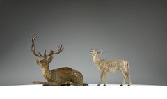 Vienna Bronzes, Deer and Doe Sculptures, 19th Century