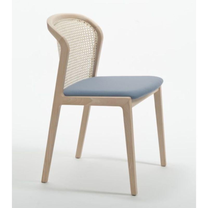 Moderne Chaise Vienna, bois de hêtre et glicine veloutée de Colé Italia en vente