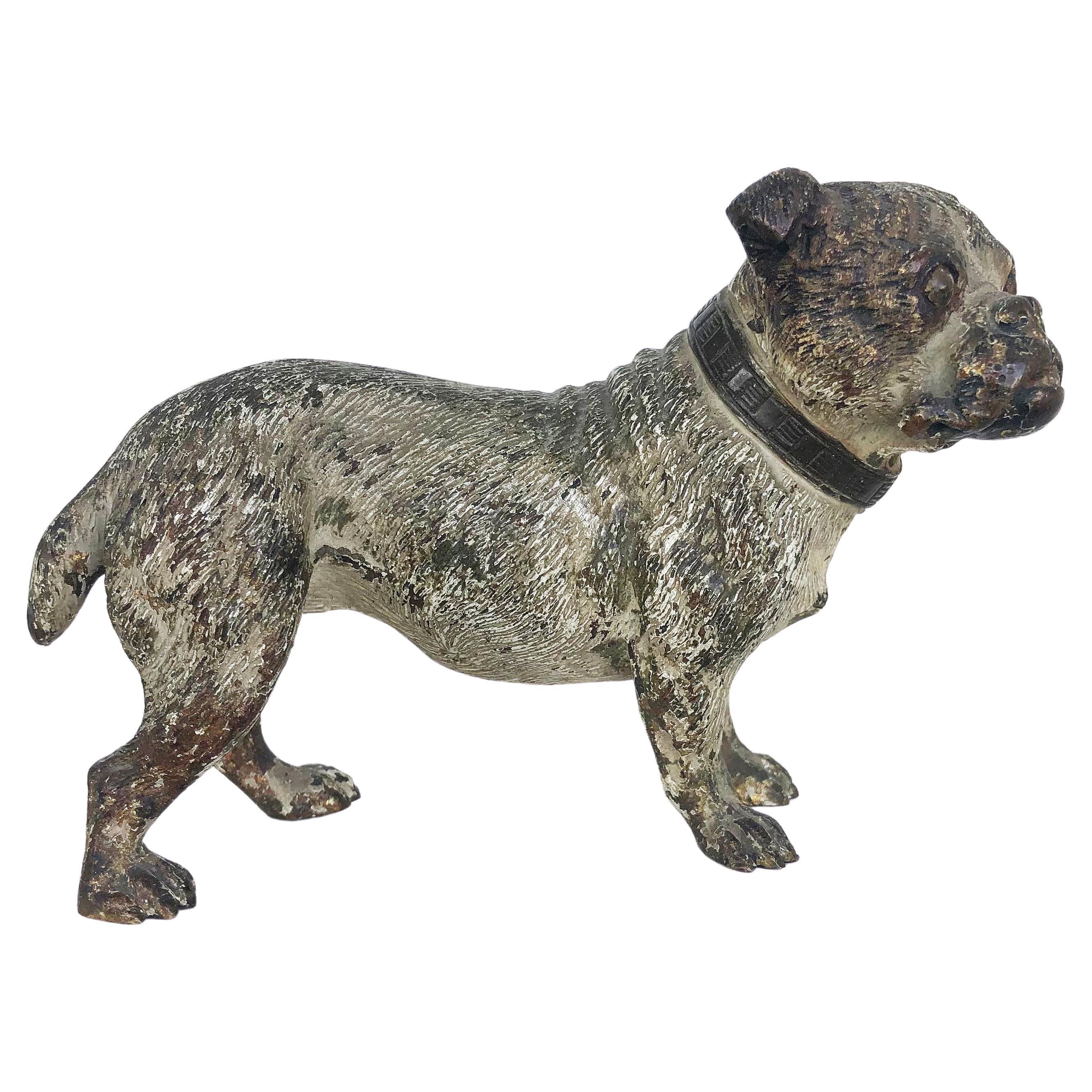 Vienna cold painted bronze bulldog, antique dog figure

Offered is a Viennese cold-painted bronze figure of a bulldog dating to the early 20th century. He shows an antique patina with expected losses to the original paint.