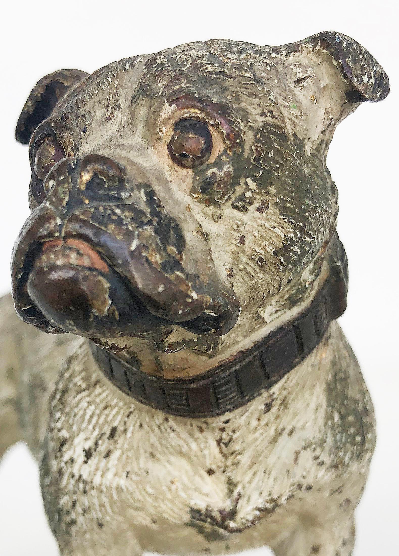 cold painted bronze dog