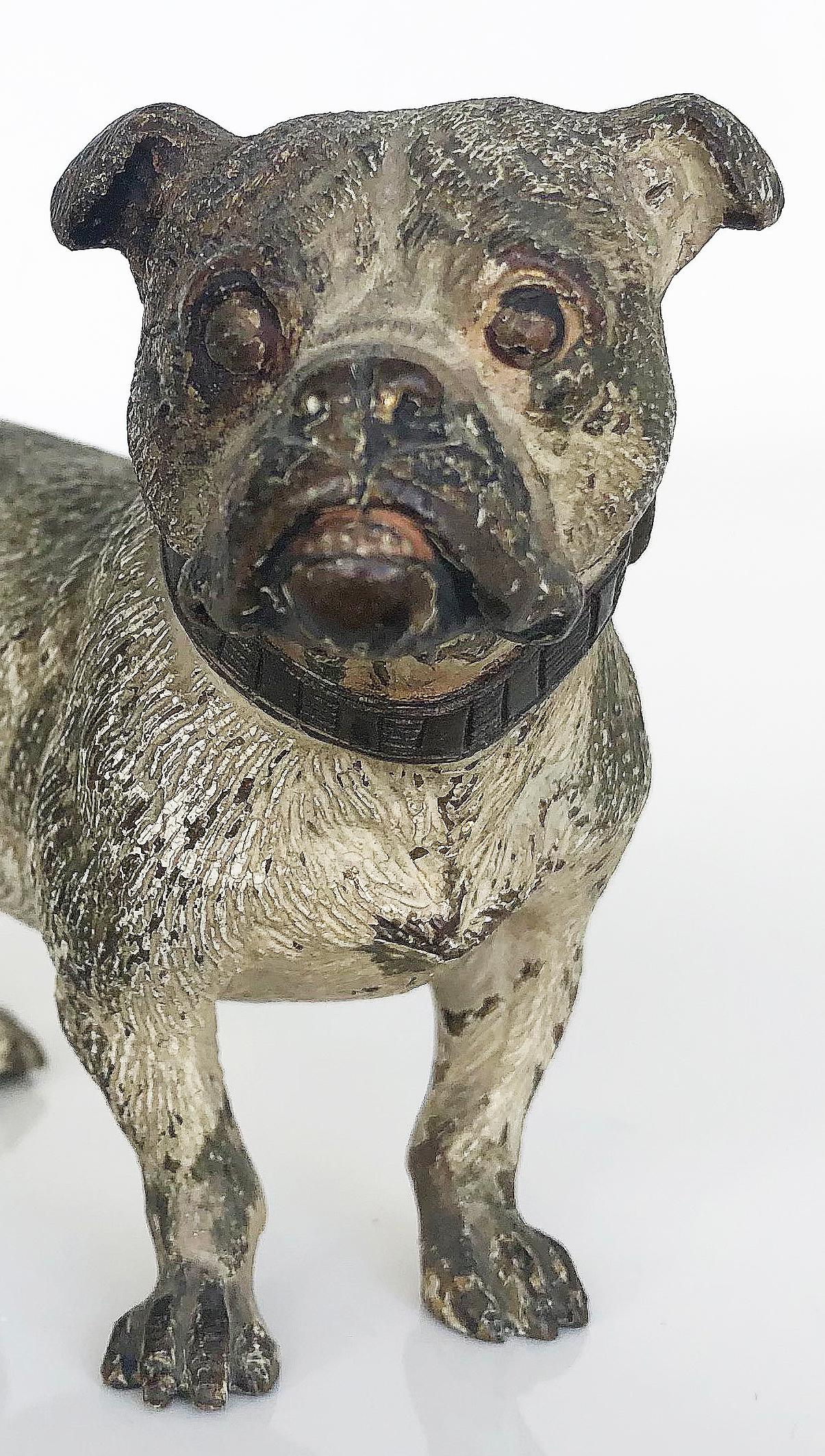 Austrian Vienna Cold Painted Bronze Bulldog, Antique Dog Figure