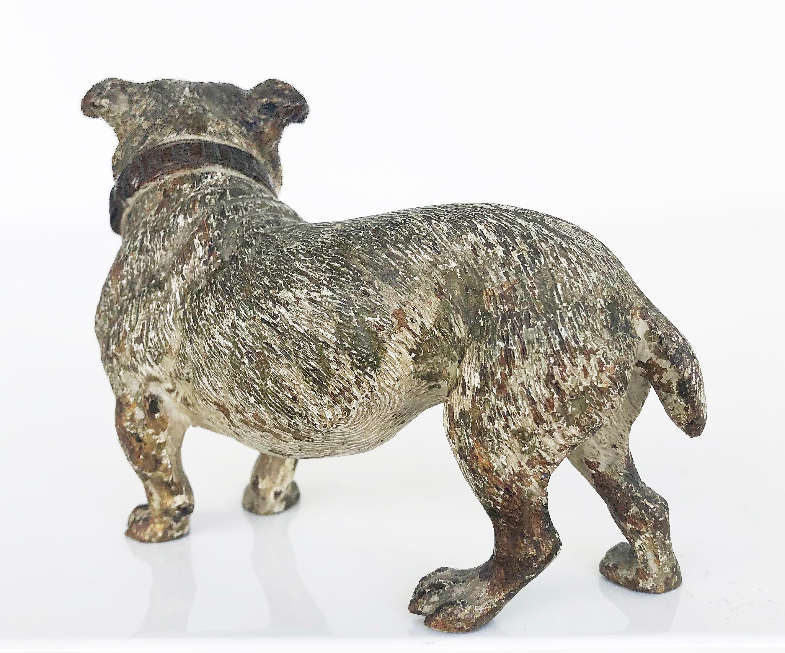 Vienna Cold Painted Bronze Bulldog, Antique Dog Figure In Good Condition In Miami, FL