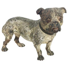 Vienna Cold Painted Bronze Bulldog, Antique Dog Figure