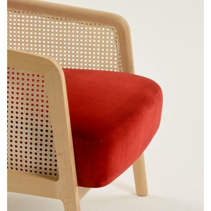 Vienna Lounge Sessel Buche Rot Samt von Colé Italia (Italienisch) im Angebot