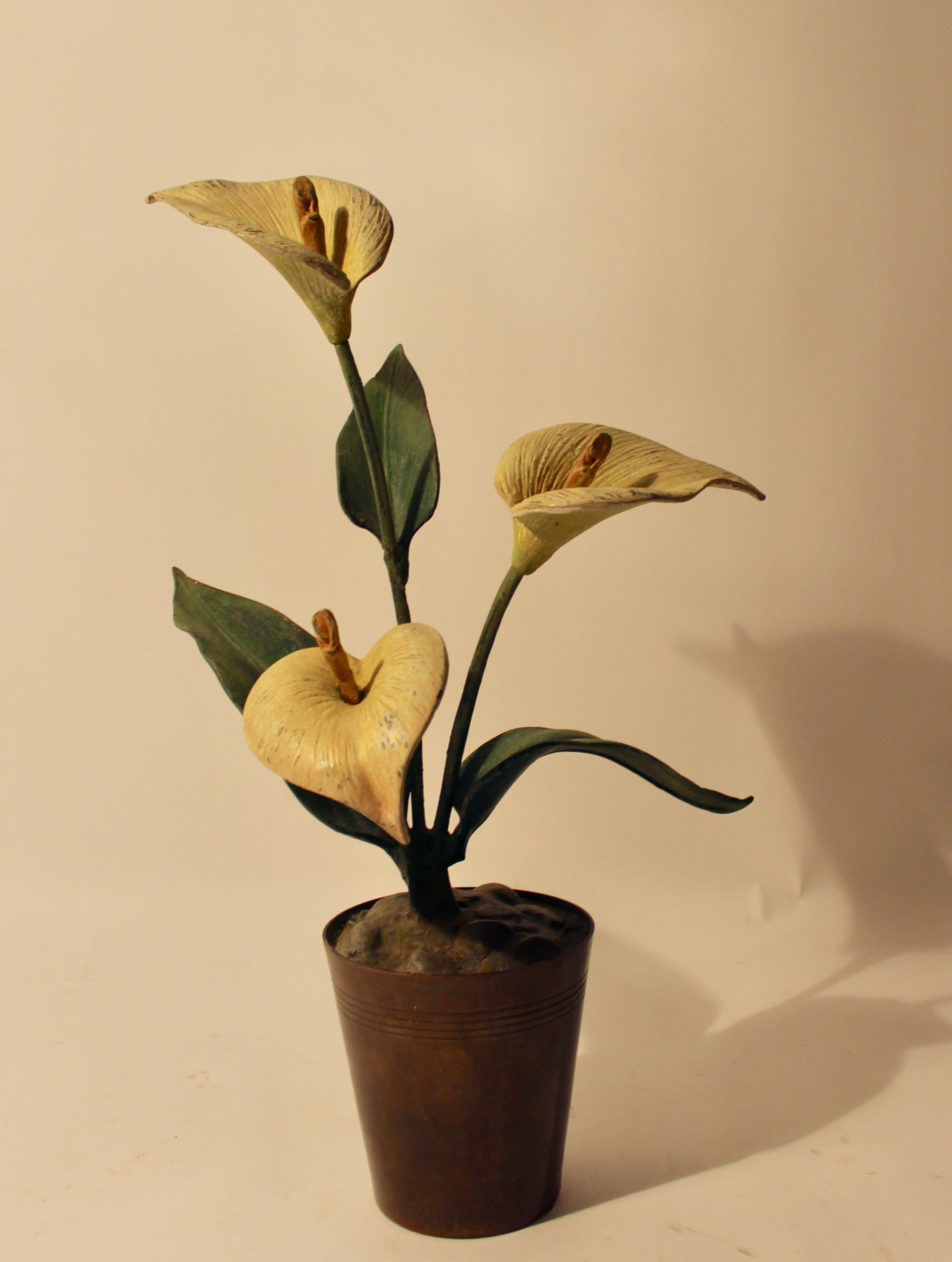 A charming poly-chrome Vienna bronze sculpture in the form of a potted Arum lily, circa 1900. Realistic in form with its white trumpet shaped flowers and yellow stamen and leaves all cold painted. The 
