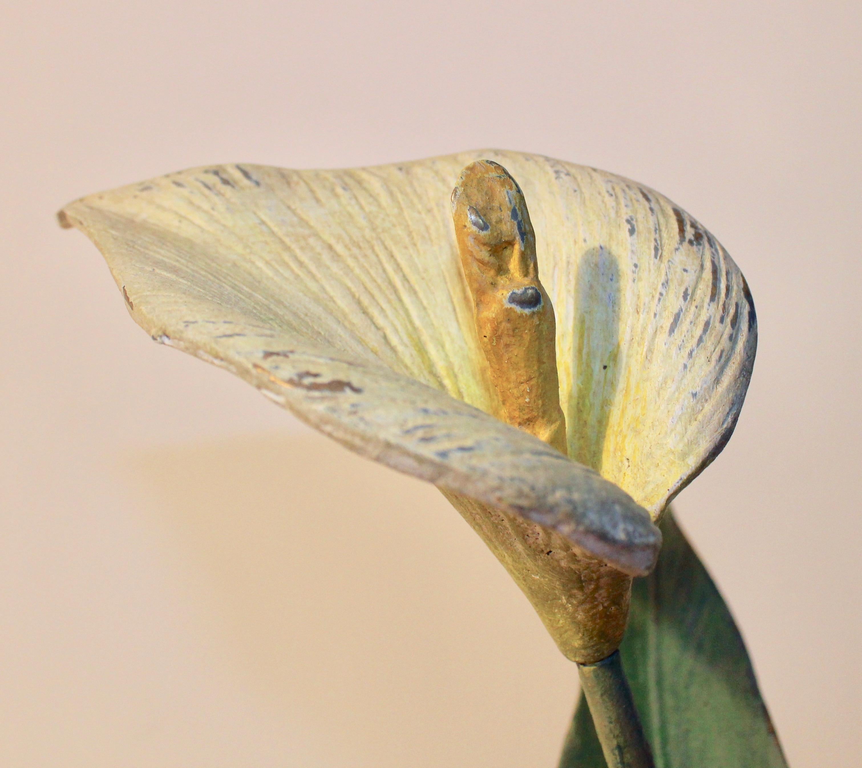 Vienna Polychrome Cold Painted Bronze Potted Arum Lilly, circa 1900 For Sale 2