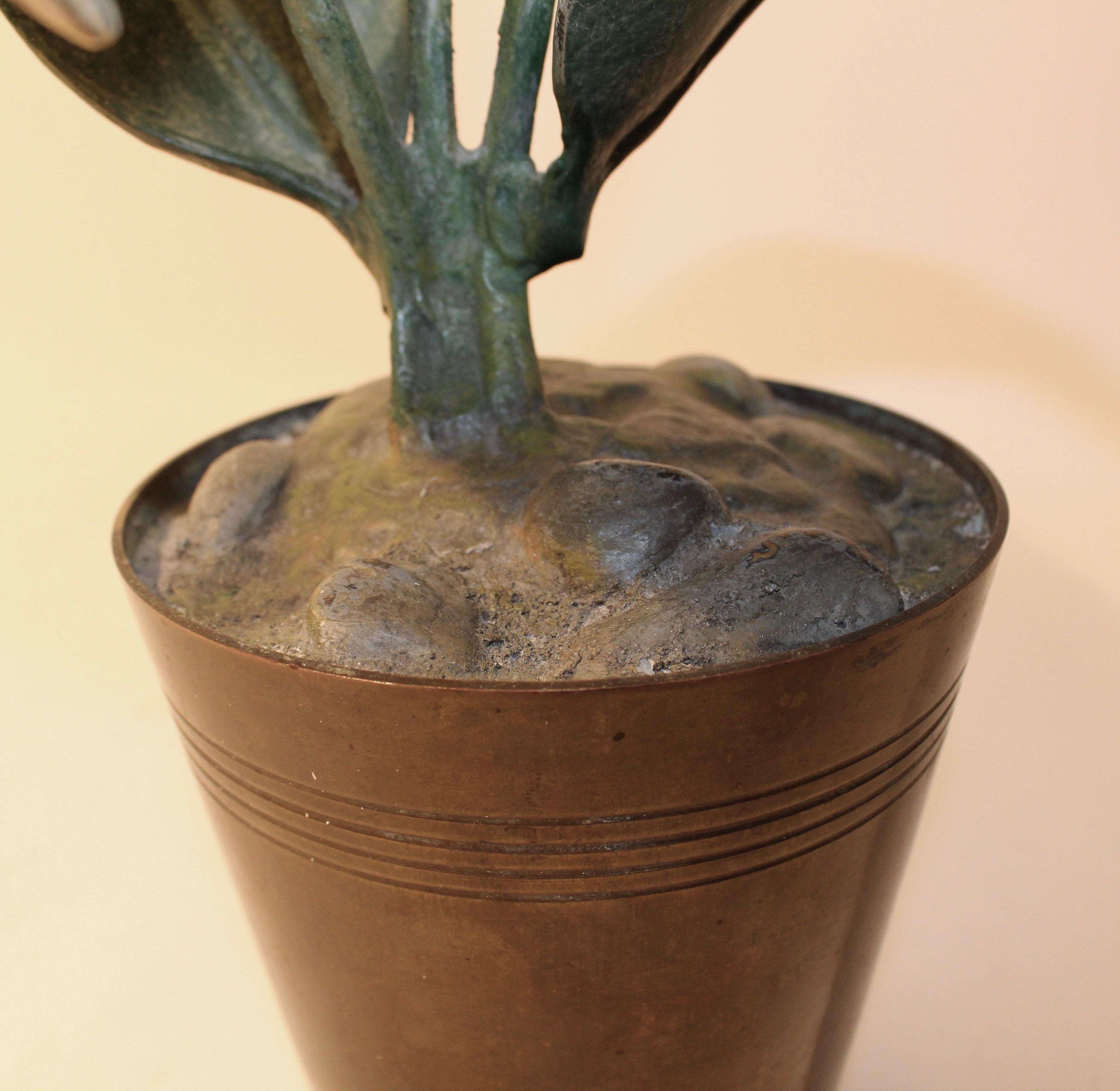 Vienna Polychrome Cold Painted Bronze Potted Arum Lilly, circa 1900 For Sale 3