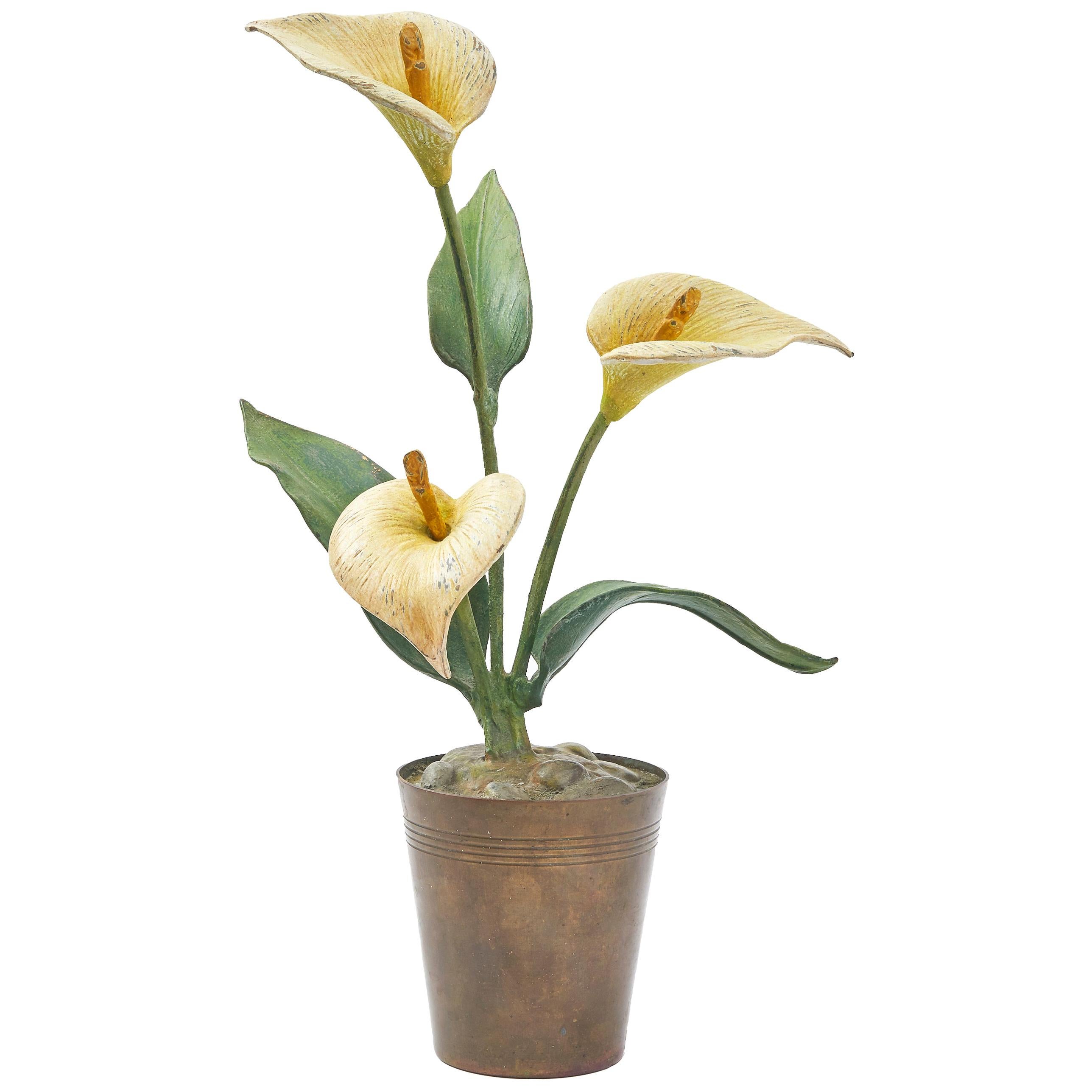 Vienna Polychrome Cold Painted Bronze Potted Arum Lilly, circa 1900 For Sale