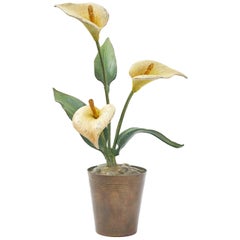 Vienna Polychrome Cold Painted Bronze Potted Arum Lilly, circa 1900