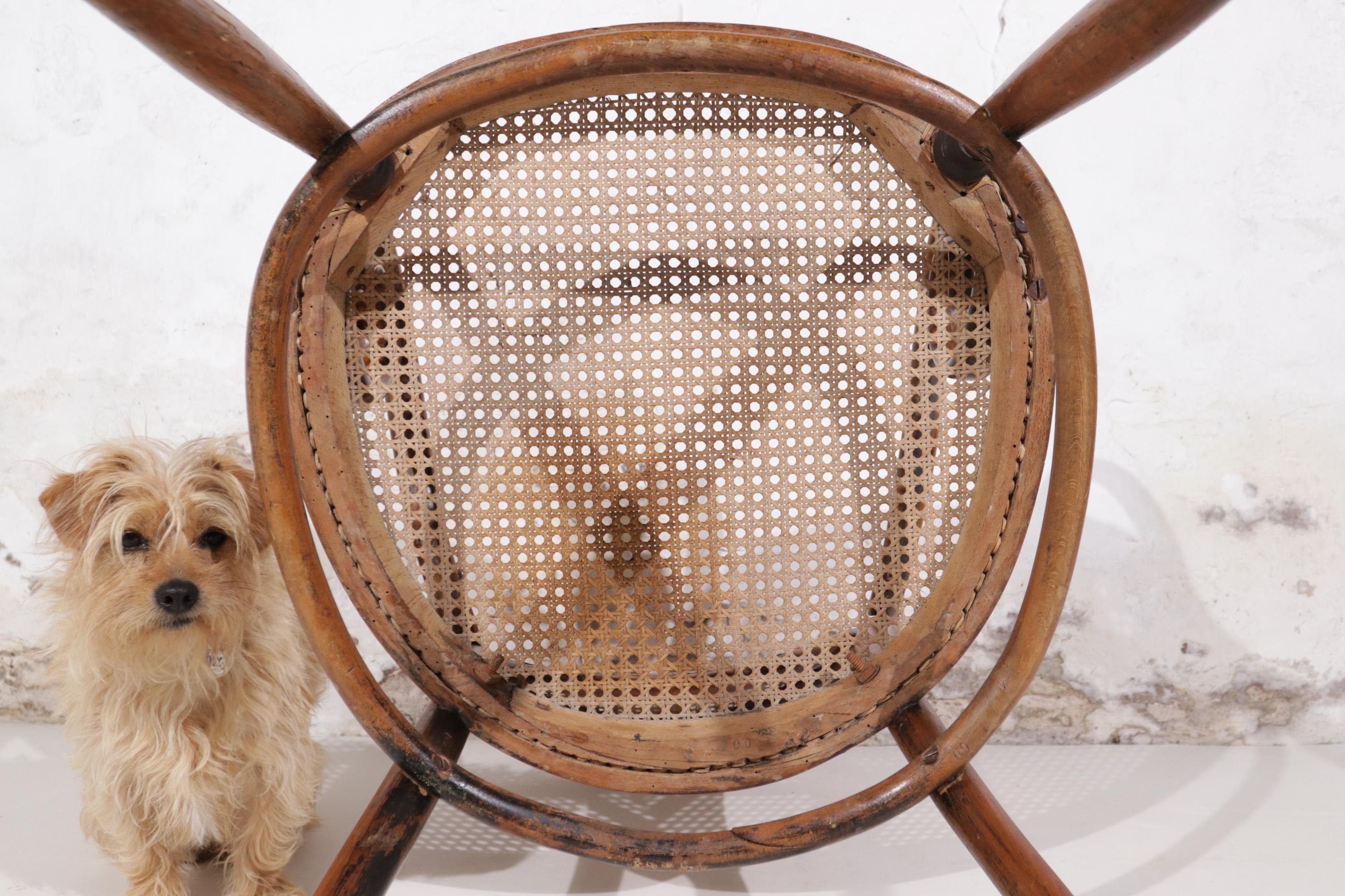 Fauteuil n° 11 de la Sécession viennoise J. & J. Kohn 1880/90 12