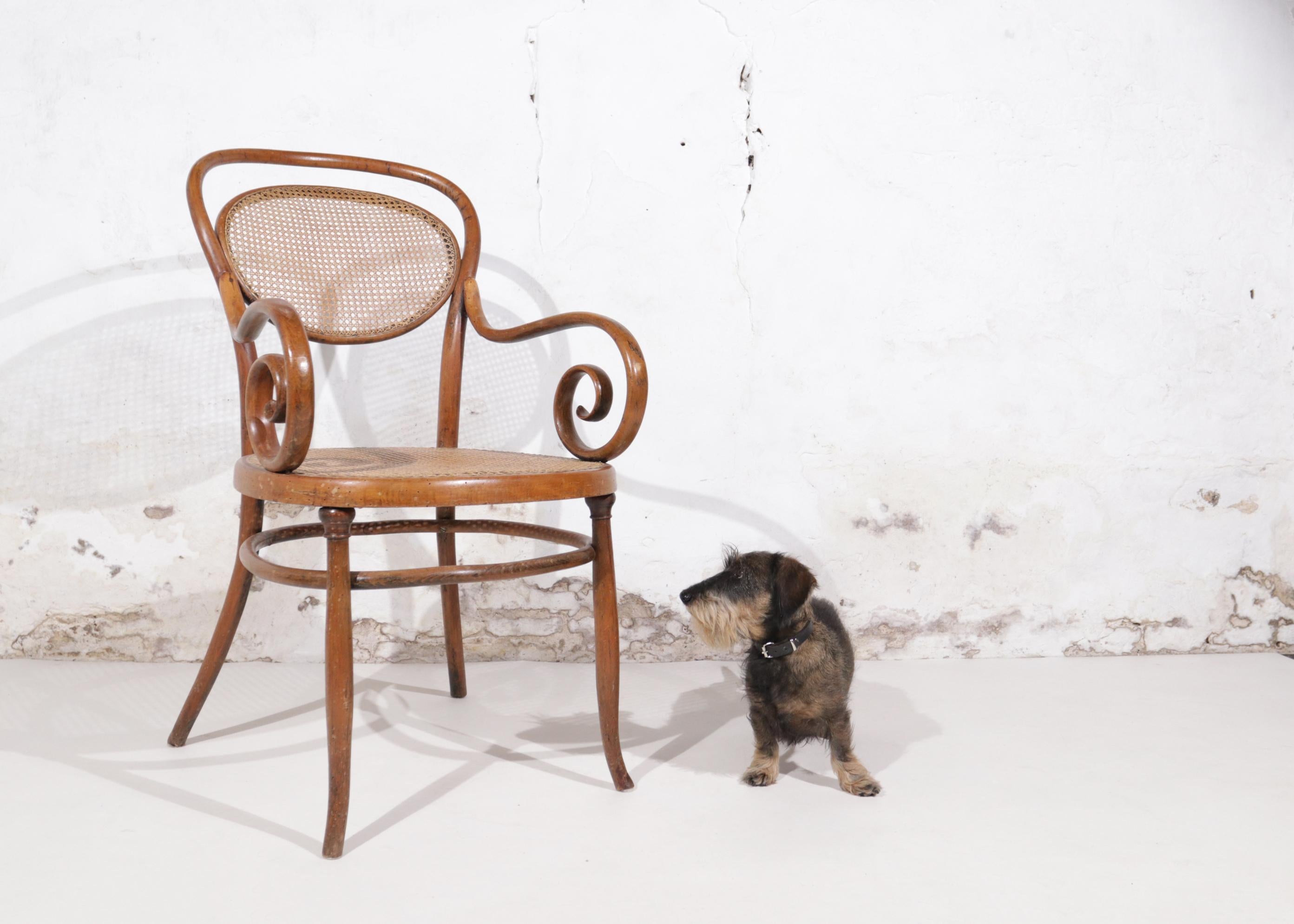 1885 wurde die gesamte Garnitur Nr. 11 vorgestellt: Sofa, Stuhl und Sessel, die sich dadurch auszeichneten, dass ein ovales Teil - oder drei im Falle des Sofas - in die Rückenlehne eingearbeitet war. . Das Sofa hat ein kleines ovales Stück in der