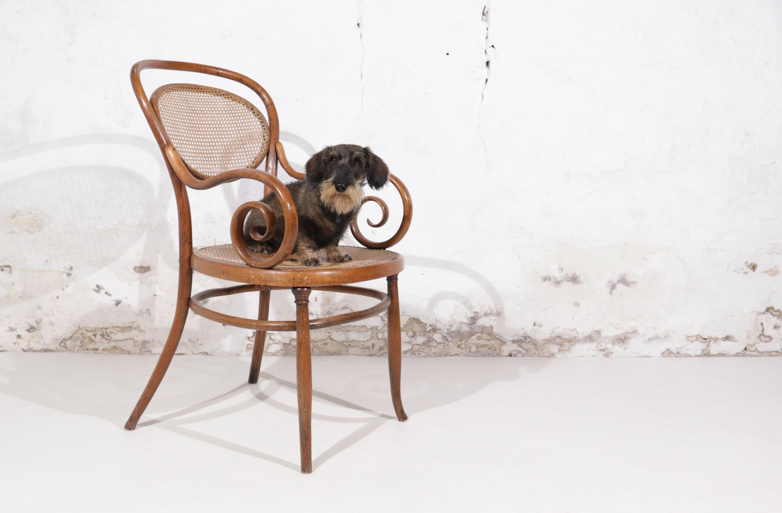 Fauteuil n° 11 de la Sécession viennoise J. & J. Kohn 1880/90 1