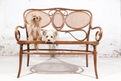 Vienna Secession J. & J. Kohn 1880/90 Bench No. 11