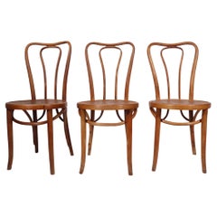 Vienna Secessionist Bentwood Chairs att. to Thonet  Made in Poland 3 available 