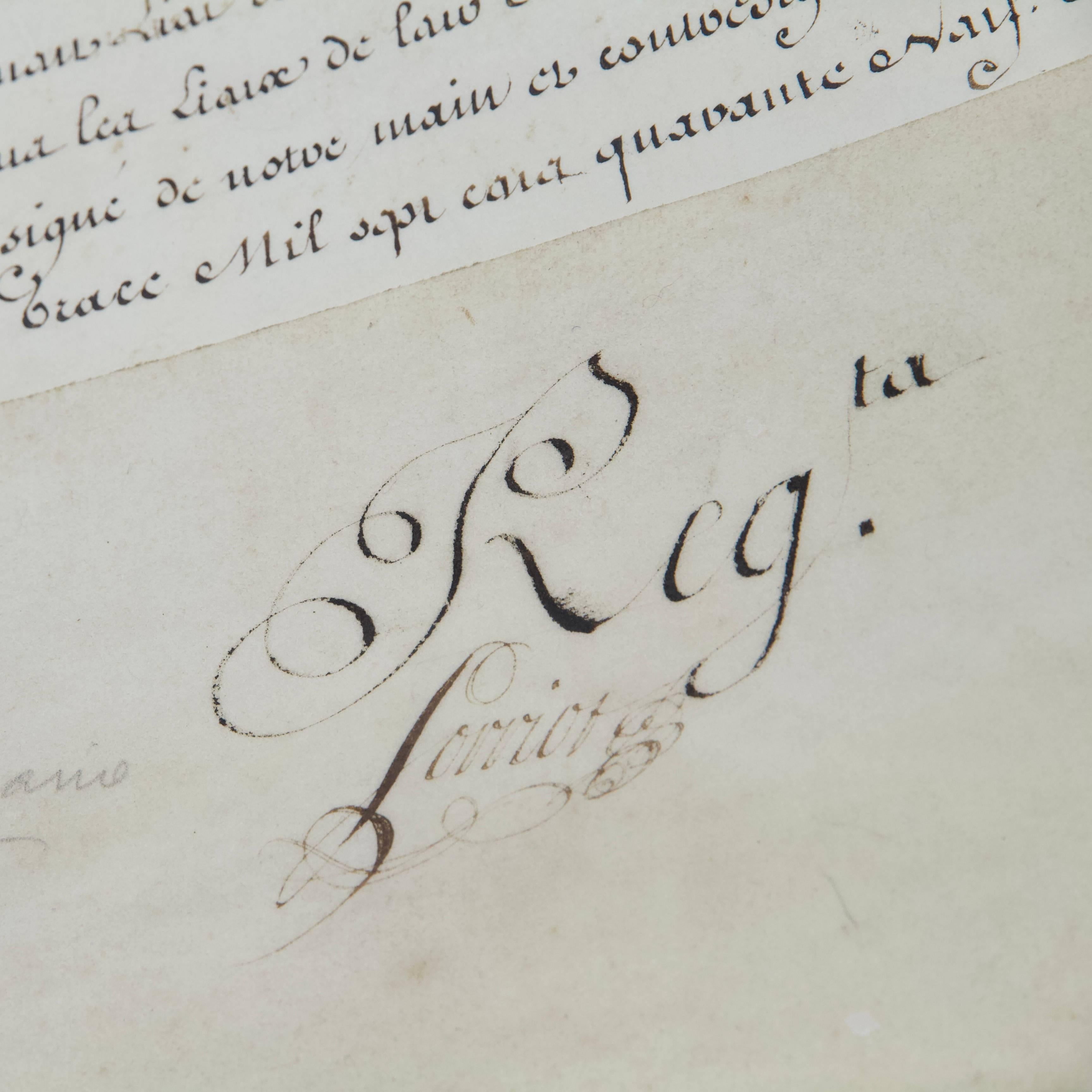 Vienne 1749 Nobility Letter For Sale 12
