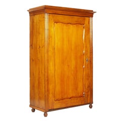 Antique Viennese 19th Century Biedermeier Cupboard Wardrobe in Birch Polished to Wax