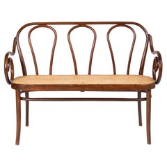 Viennese Art Nouveau Bent Beechwood Bench, Ca. 1900