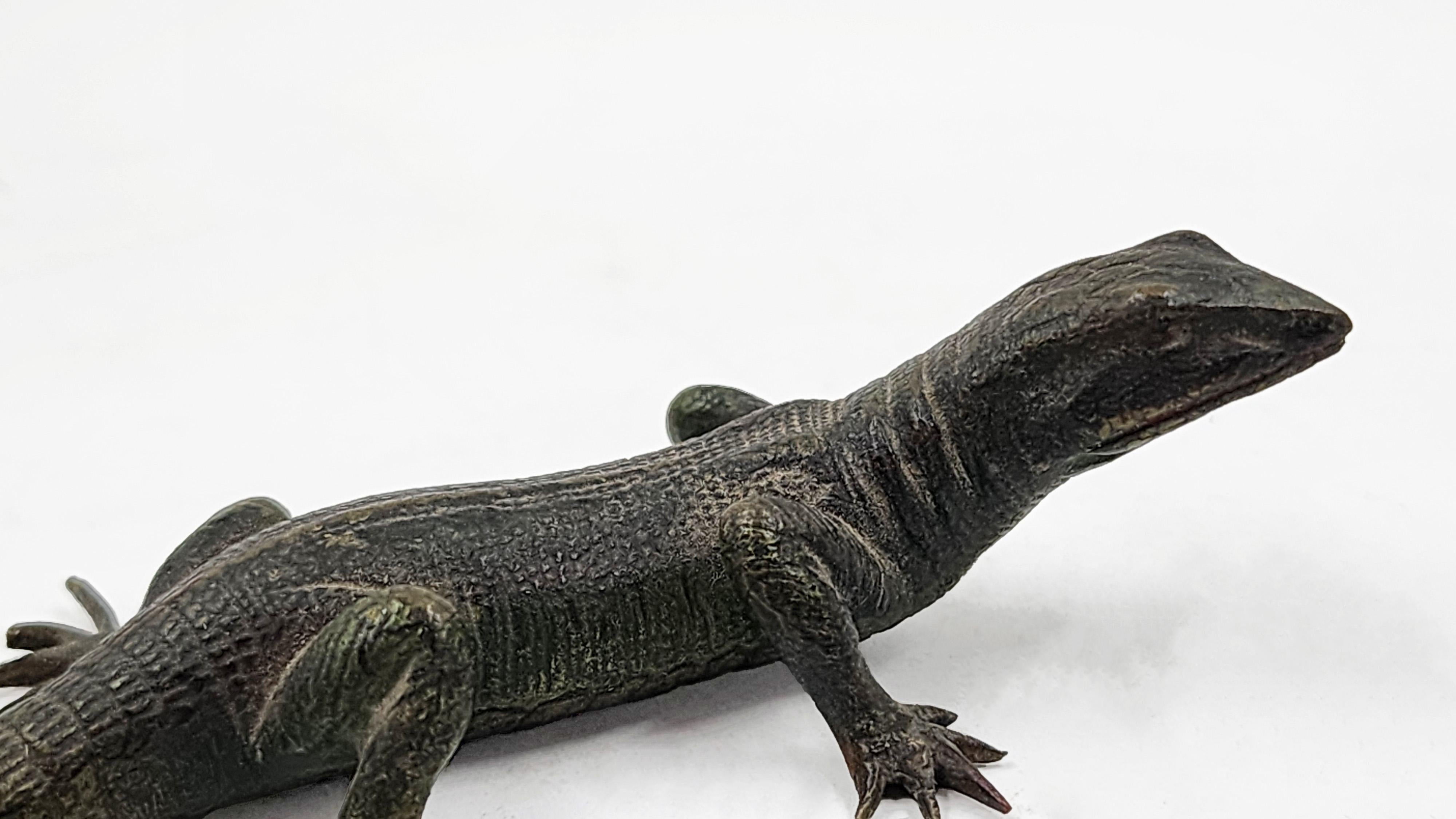 Peint à la main Iguane en bronze viennois avec peinture polychrome originale en vente