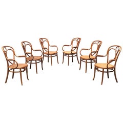 Viennese Early 20th Century Set of Thonet Chairs in Solid Wood, 1900s