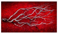 Legend - Nature Photography, 32"x54", Signed Limited Edition of 4