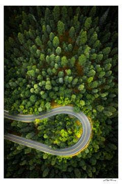 The Loop - Fotografia naturalistica, 54 "x36", edizione limitata firmata di 5 esemplari