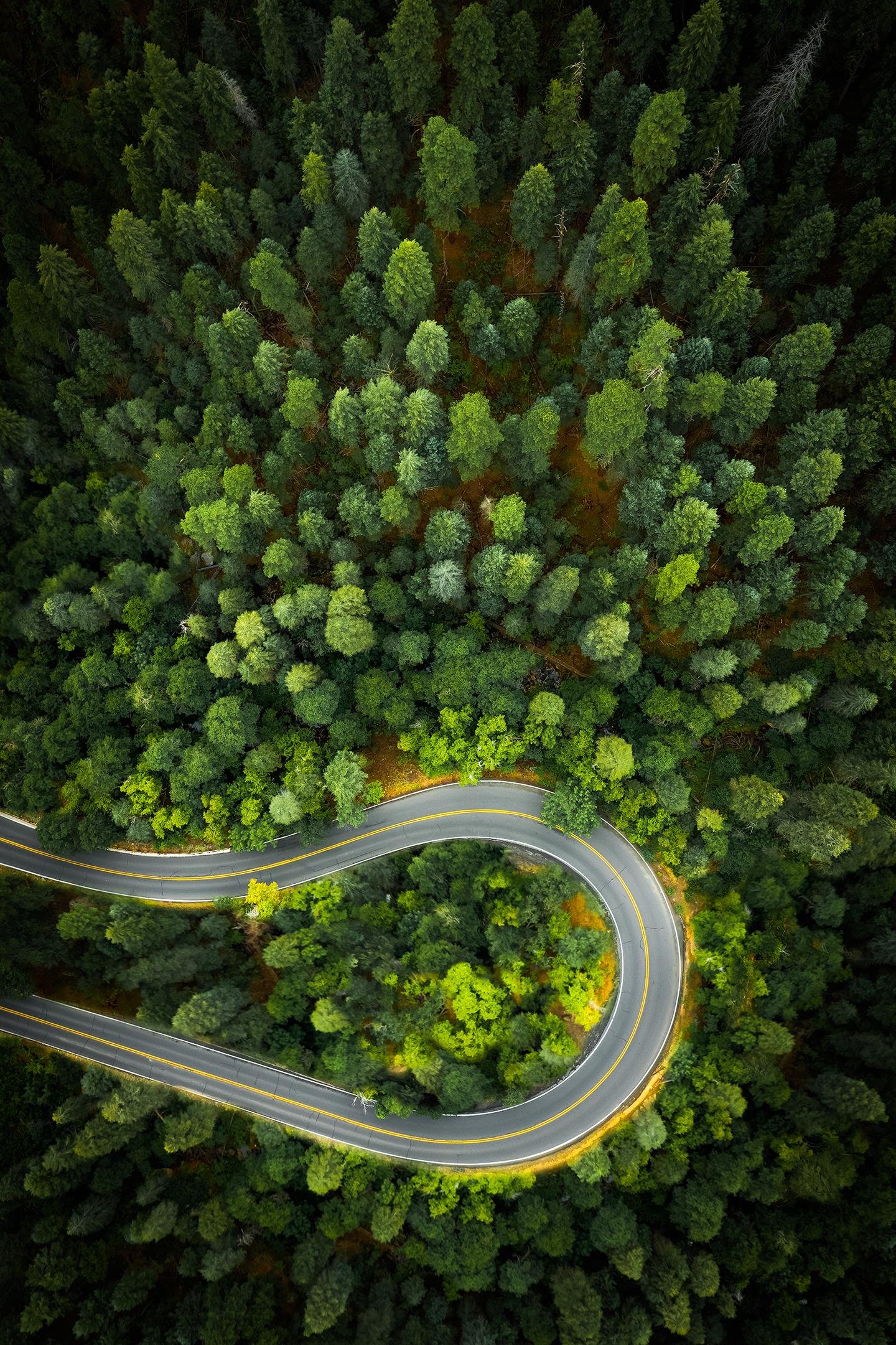 The Loop - Fotografia naturalistica, 54 "x36", edizione limitata firmata di 5 esemplari