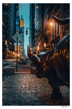 Wall Street Bull – NYC Photography, 54 Zoll x36 Zoll, signiert, limitierte Auflage von 5 Stück
