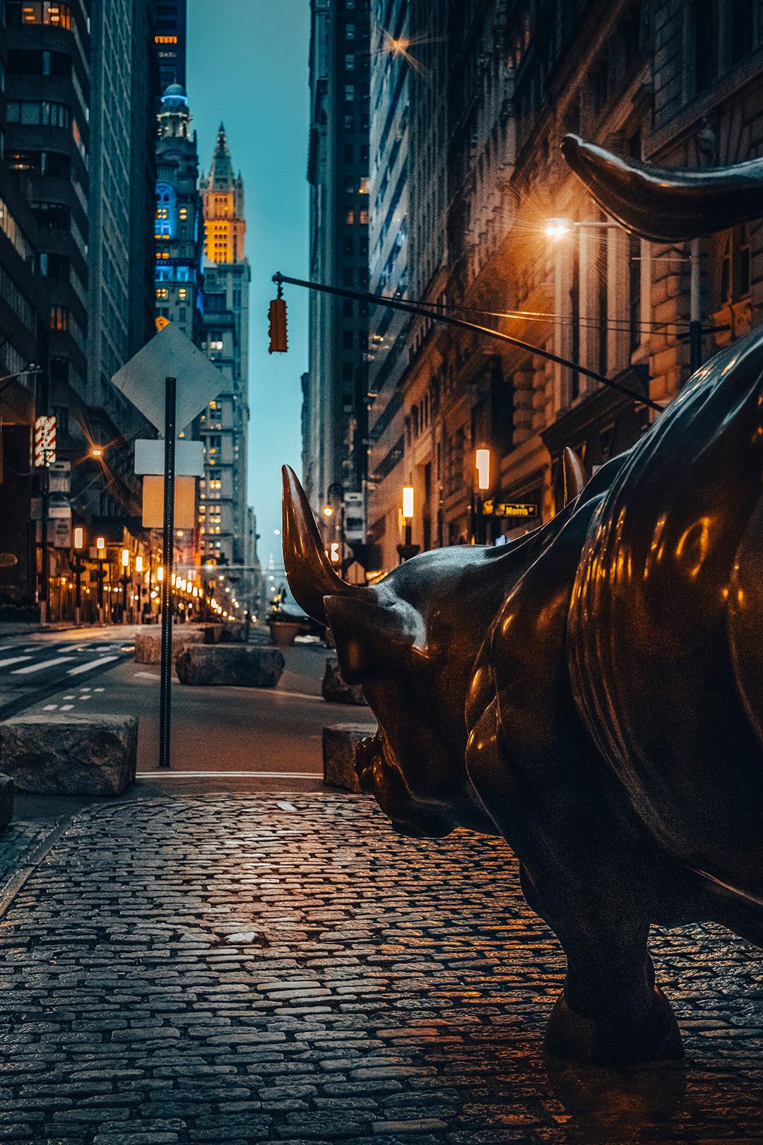 Viet Chu Landscape Photograph - Wall Street Bull - NYC Photography, 54"x36", Signed Limited Edition of 5