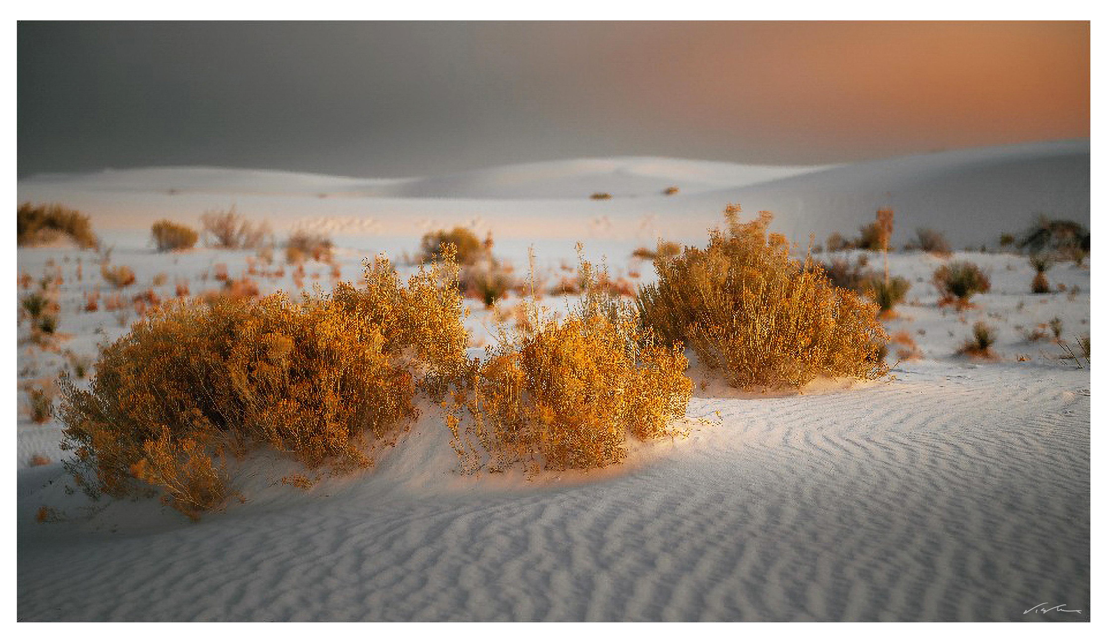 Weiße Sande – Naturfotografie, 36 Zoll x64 Zoll, signiert, limitierte Auflage von 4 Stück (Naturalismus), Photograph, von Viet Chu