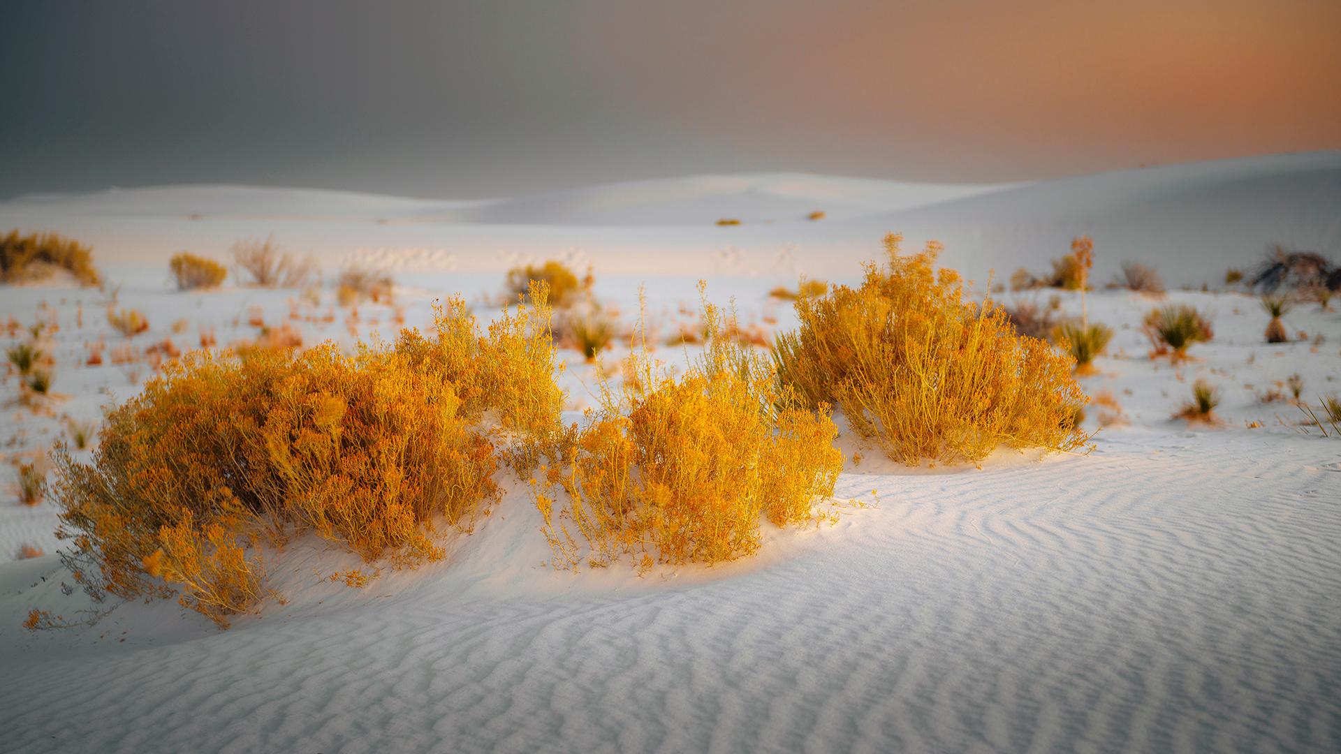 " What appears to be snow mounds are actually white, pristine sand dunes at White Sands National Park, NM. I had only a few minutes of the "glow" remaining, so I ran up a hill with my tripod and was presented with this last "glow". I always believe