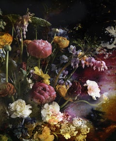 Fiori barocchi I, fotografia, C.C.