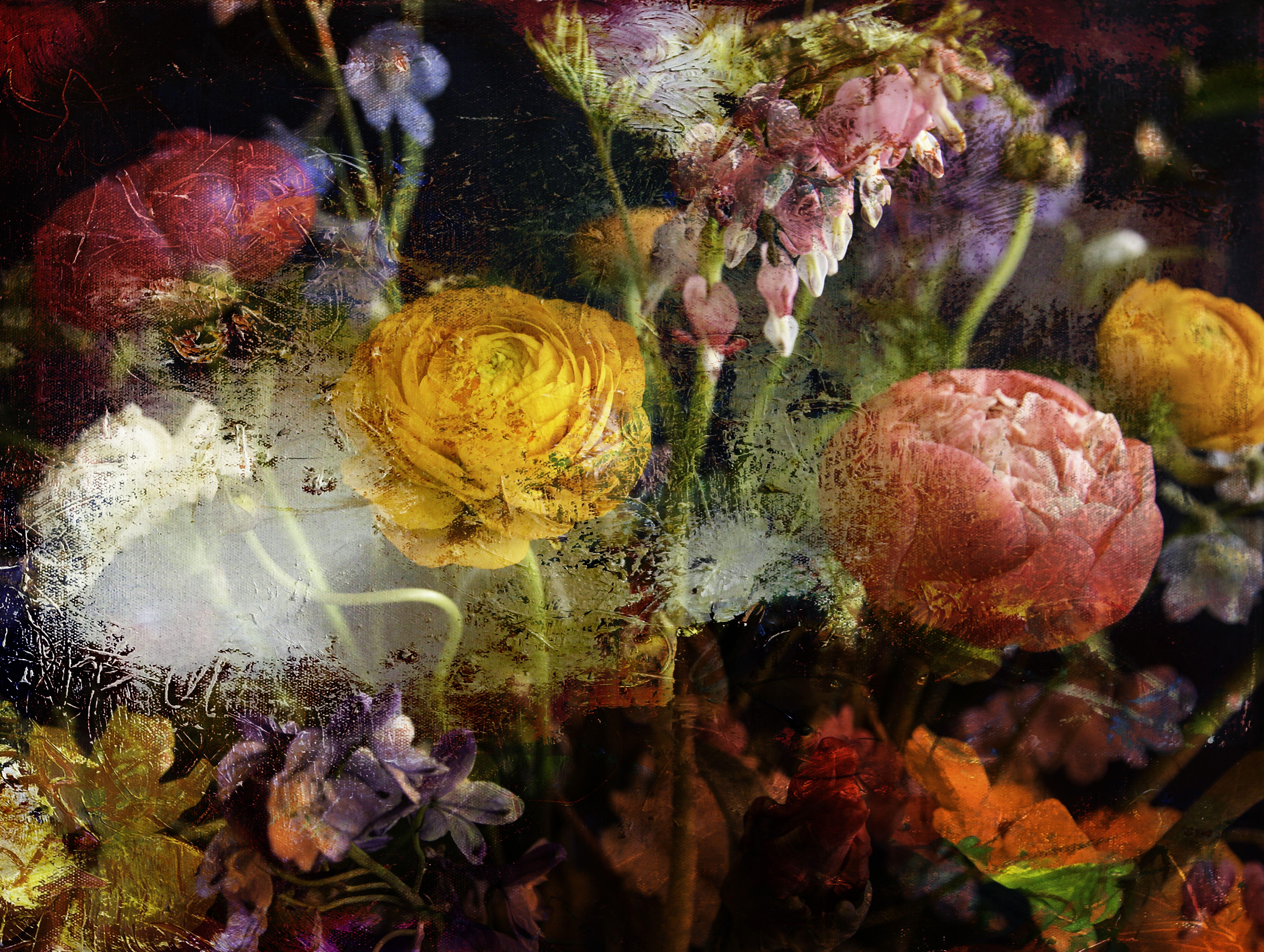Color Photograph di Viet Ha Tran - Fiori barocchi IV, Fotografia, C.C.