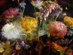 Fleurs baroques IV, photographie, type C