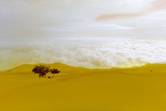 Clouds on the Sahara, Photograph, C-Type