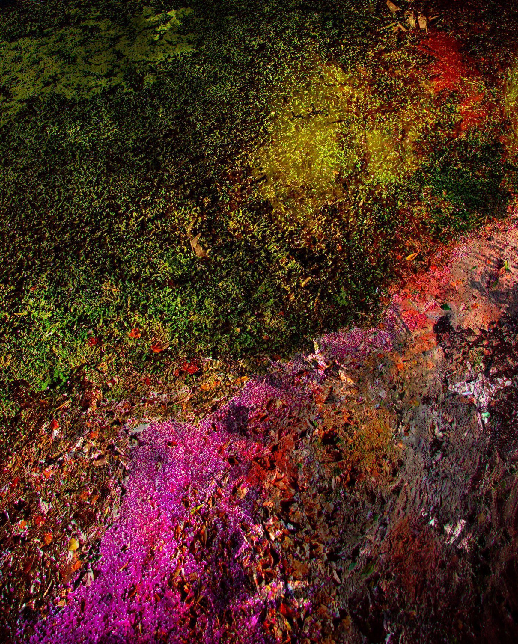 Viet Ha Tran Color Photograph - Colors of the lake, Photograph, C-Type