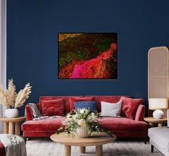 Ecosystem I, Photograph, C-Type