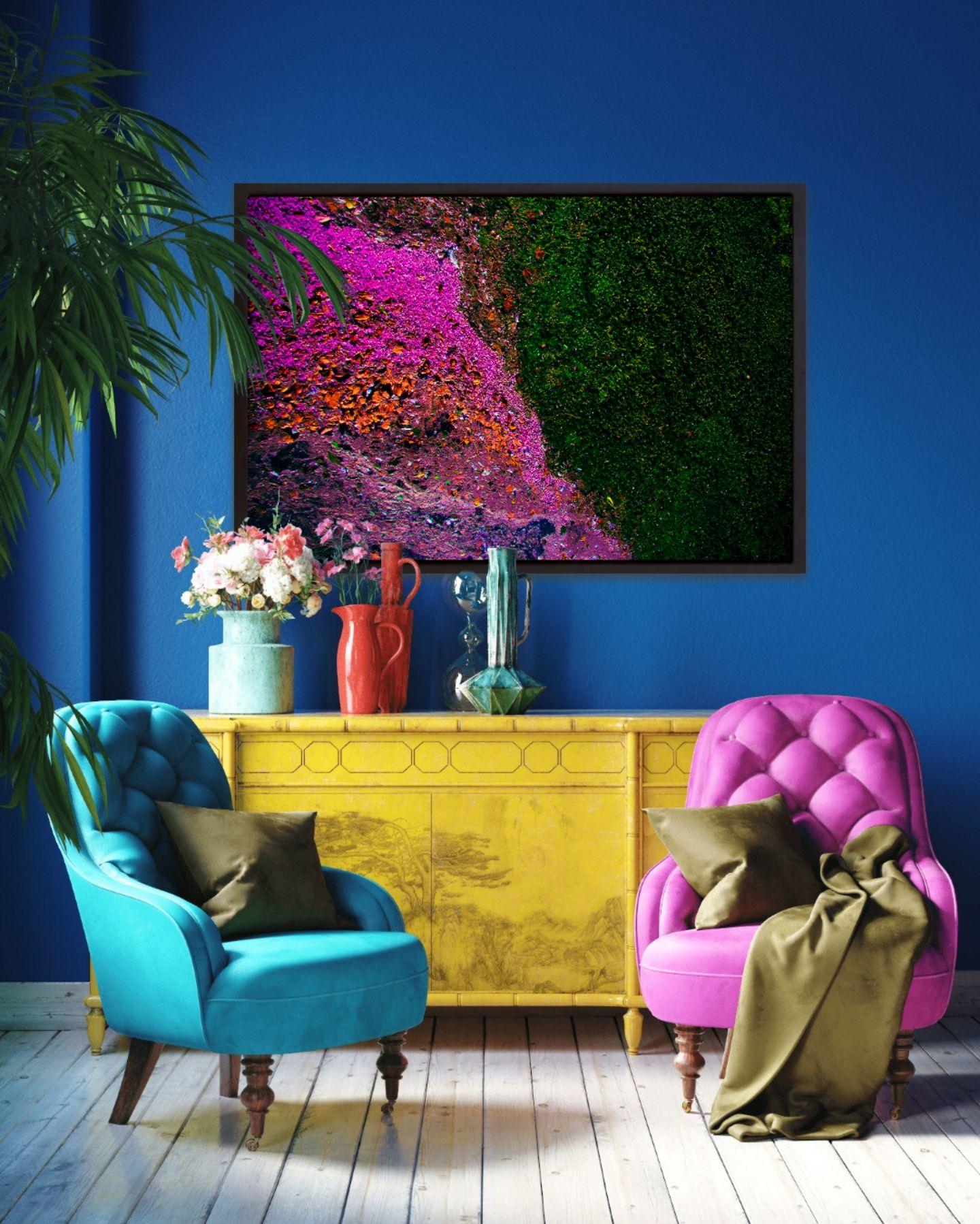 Ecosystem IV, Fotografie, Typ C-Typ – Photograph von Viet Ha Tran