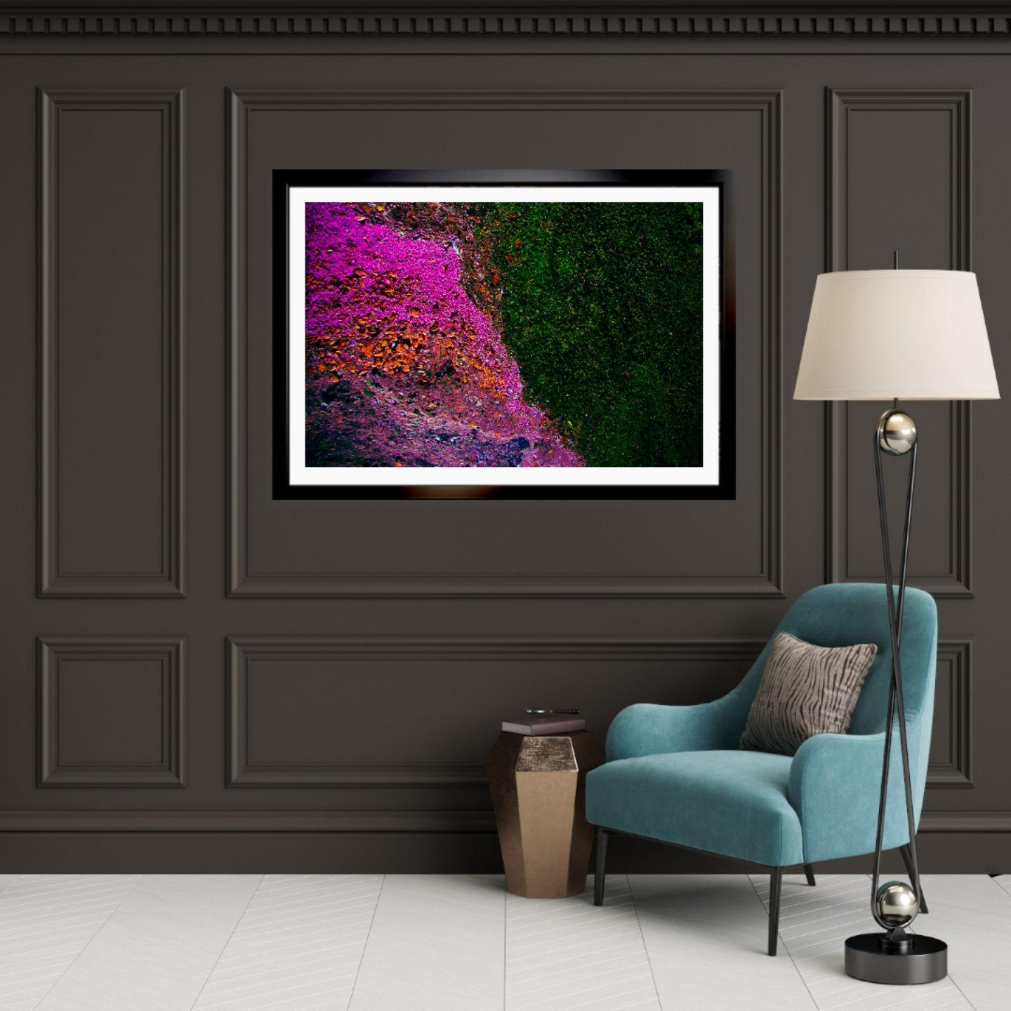 Ecosystem IV, Fotografie, Typ C-Typ (Sonstige Kunststile), Photograph, von Viet Ha Tran