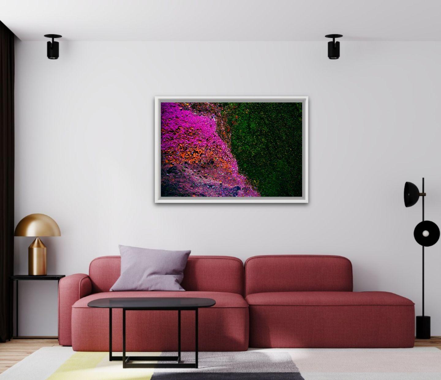 Ecosystem IV, Fotografie, Typ C-Typ (Schwarz), Color Photograph, von Viet Ha Tran