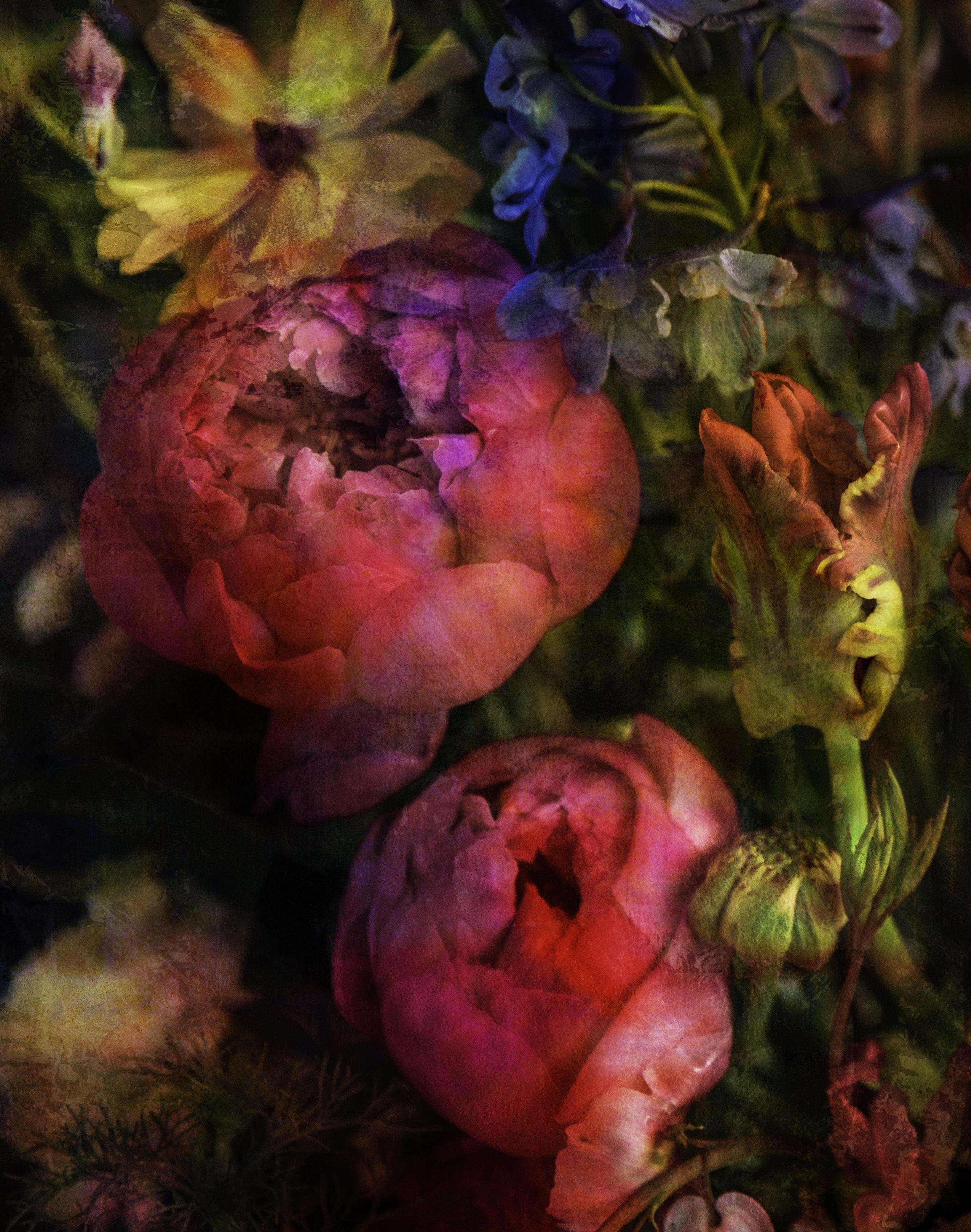 Viet Ha Tran Color Photograph – Garden of Hope I, Fotografie, C-Typ