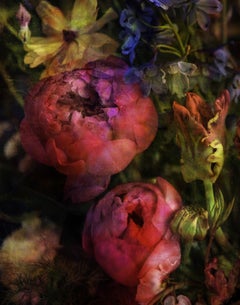 Garden of Hope I, Photograph, C-Type