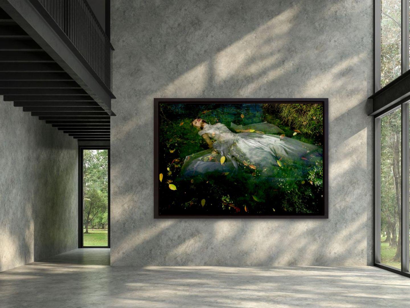 (Last Edition) Take me to your dreams Ophelia III, Fotografie, C-Typ – Photograph von Viet Ha Tran