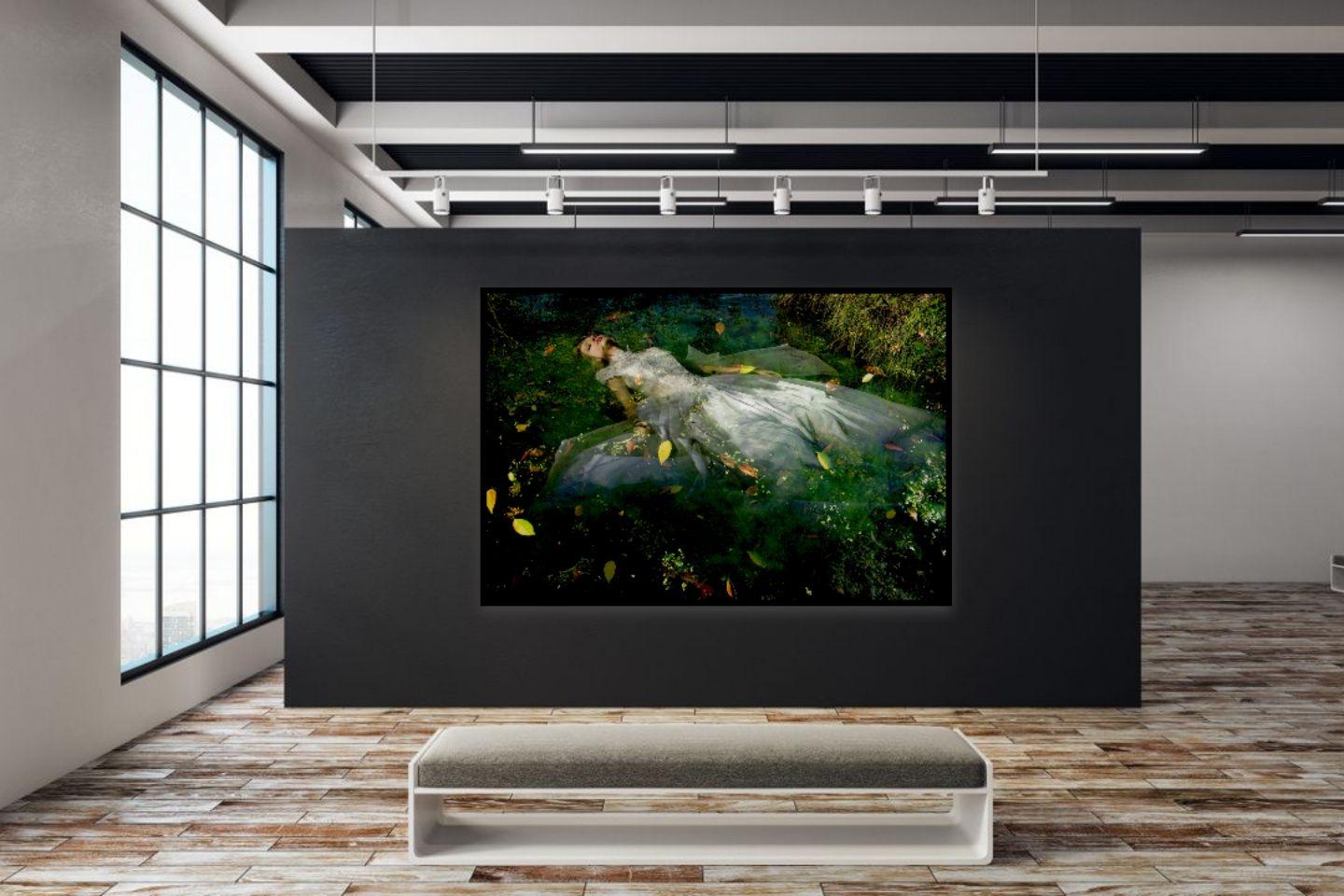 (Last Edition) Take me to your dreams Ophelia III, Fotografie, C-Typ (Sonstige Kunststile), Photograph, von Viet Ha Tran