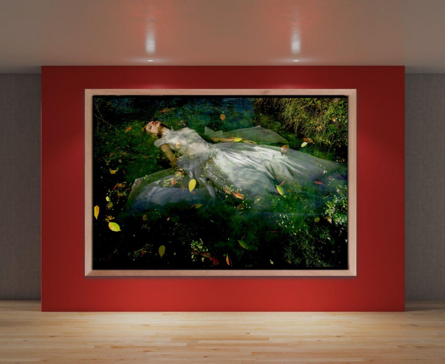 (Last Edition) Take me to your dreams Ophelia III, Fotografie, C-Typ (Schwarz), Color Photograph, von Viet Ha Tran