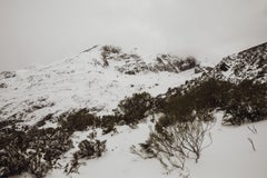 MontaÃ±a Palentina, Photograph, C-Type
