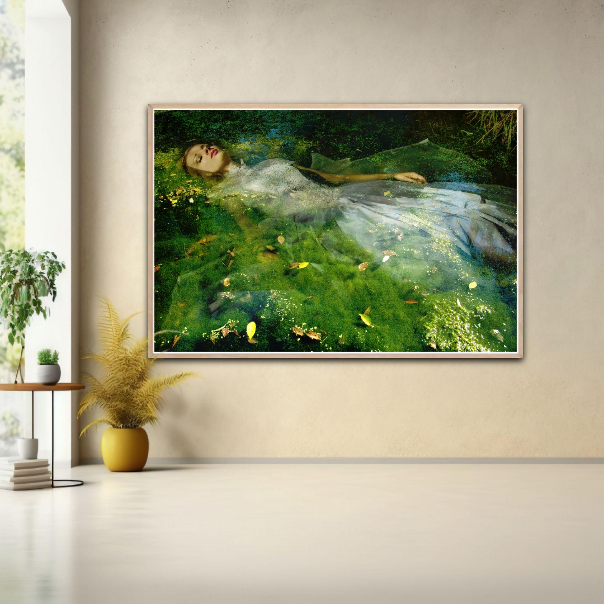 (MUSEUM EDITION) Take me to your dreams Ophelia IV, Photograph, Archival Ink Jet For Sale 2